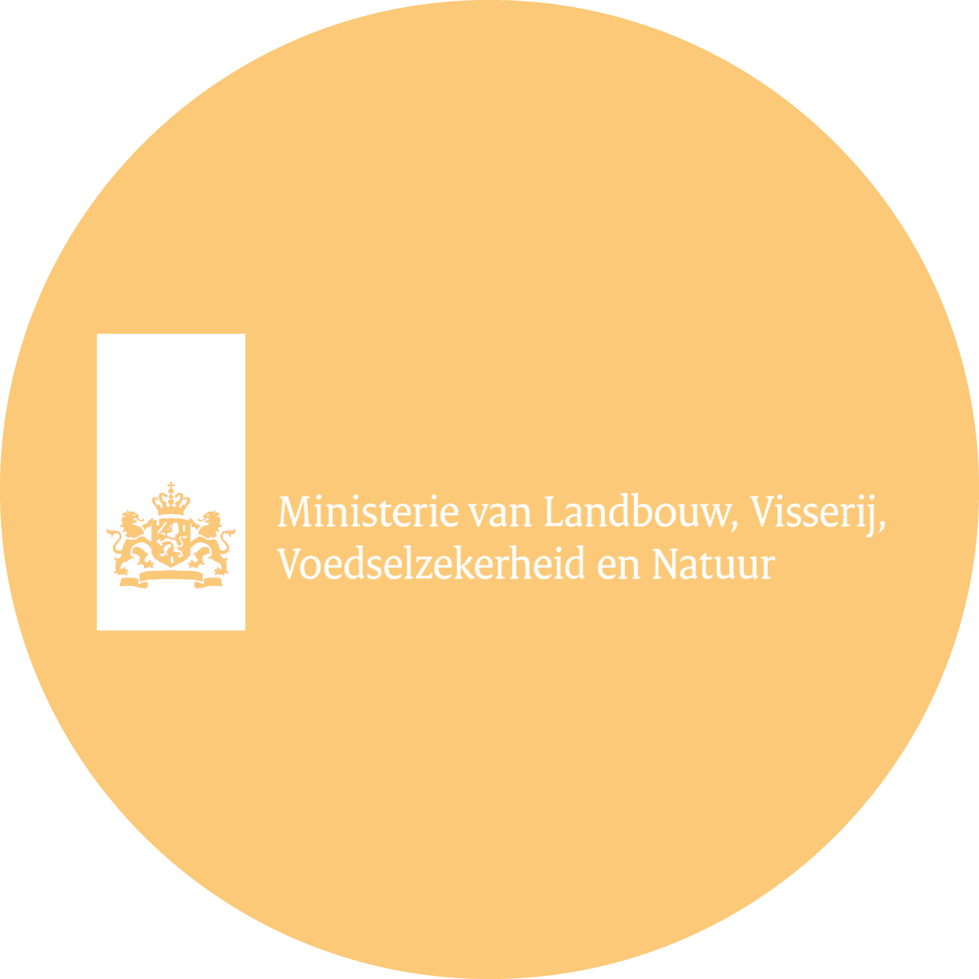 LVVN